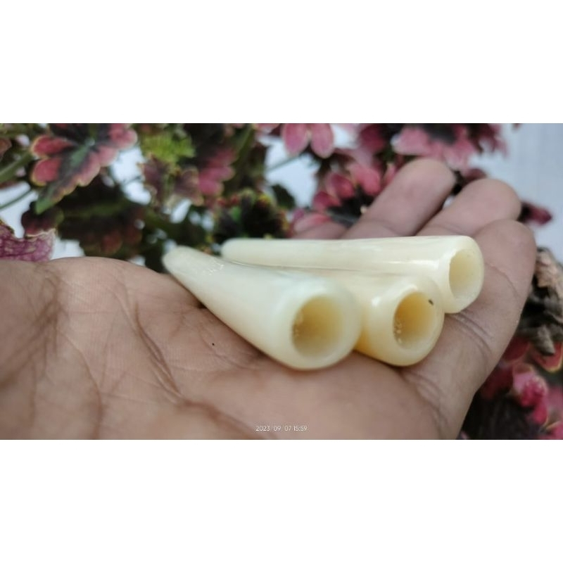 once tulang sapi bulat panjang 8 cm