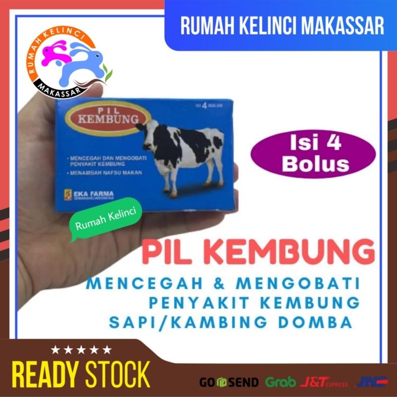 PIL KEMBUNG Sapi Domba Kambing Obat Kembung Sapi