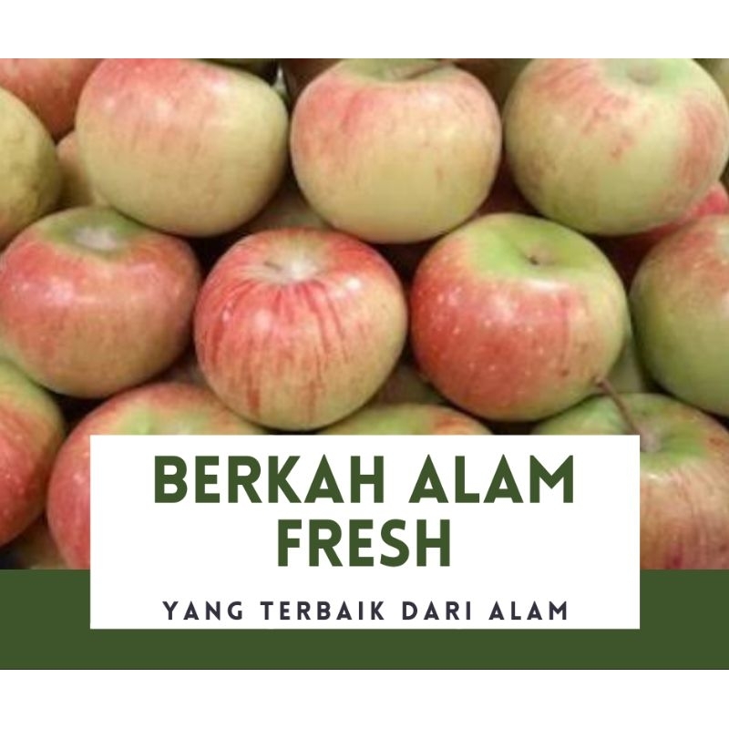 

APEL MALANG FRESH 500 GRAM