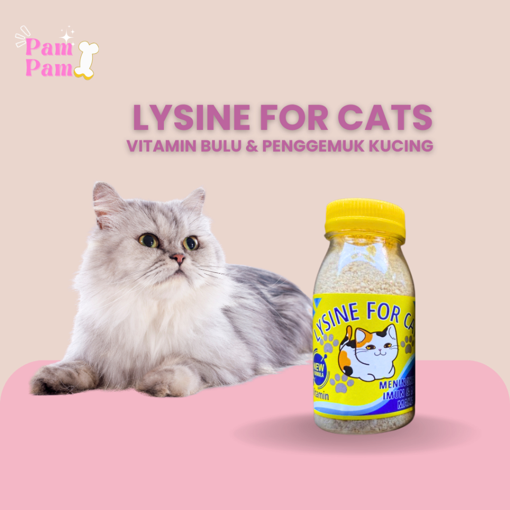 Vitamin Penggemuk Kucing Kitten Lysine Plus Vitamin Lengkap Adult Cats