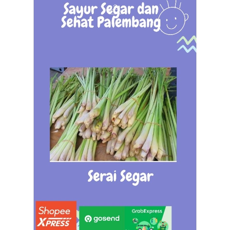 

Serai Segar per Ikat. -Sayur Segar dan Sehat Palembang
