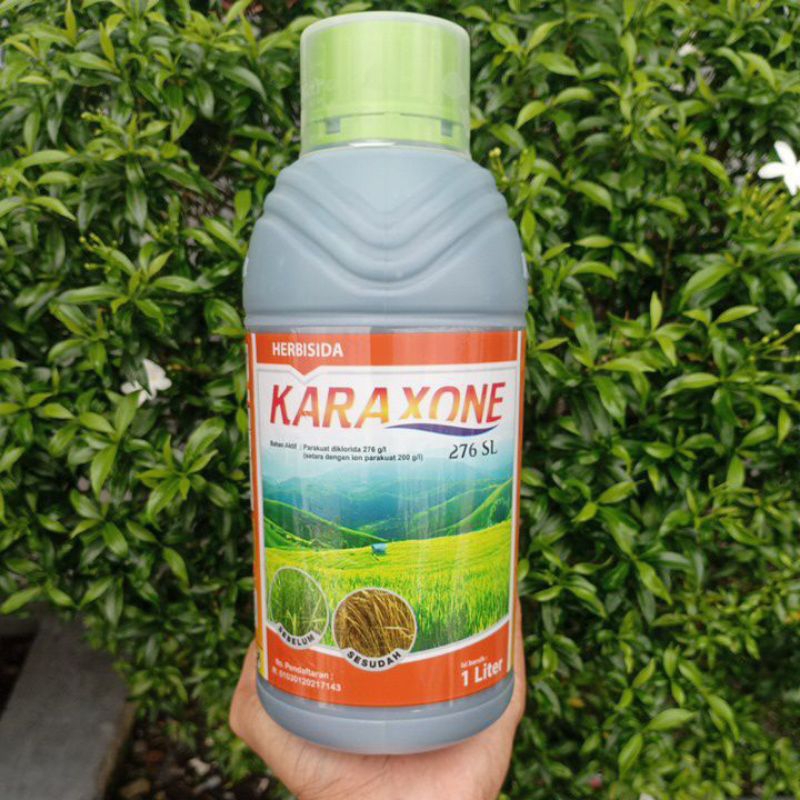 Herbisida Karaxone 276SL 1 liter