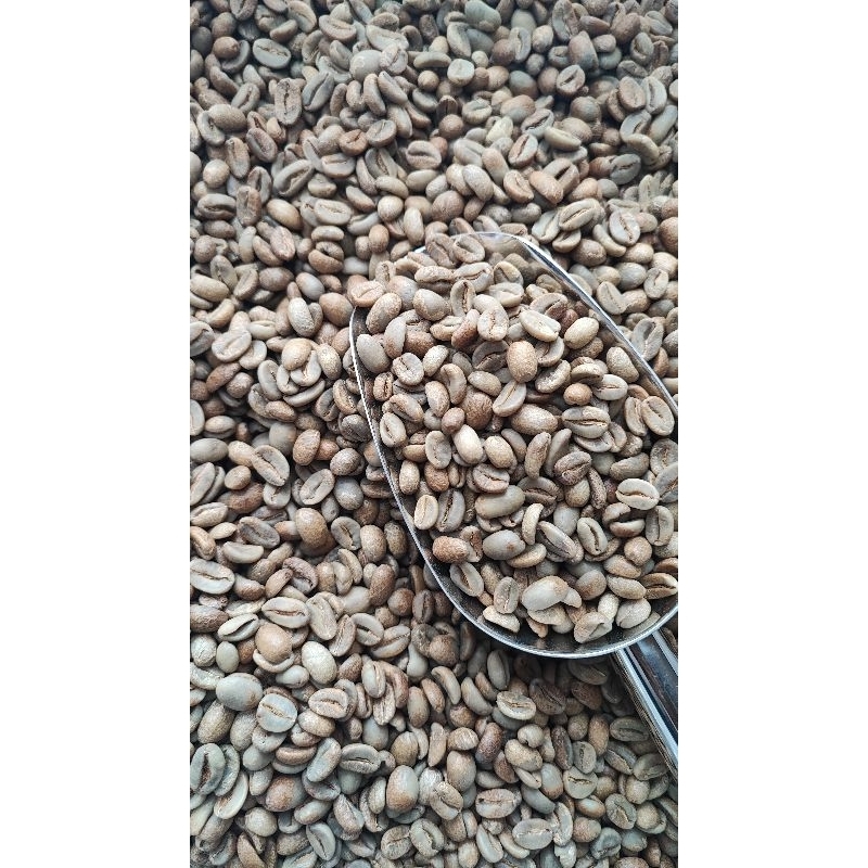 

GREEN BEANS| TEMANGGUNG NATURAL