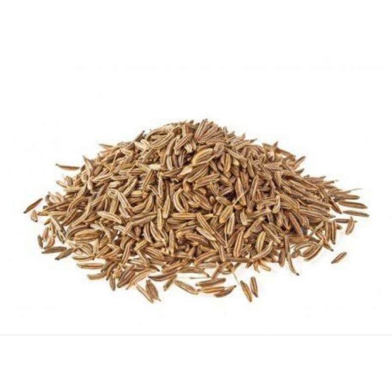

jintan masak | caraway seeds kualitas premium