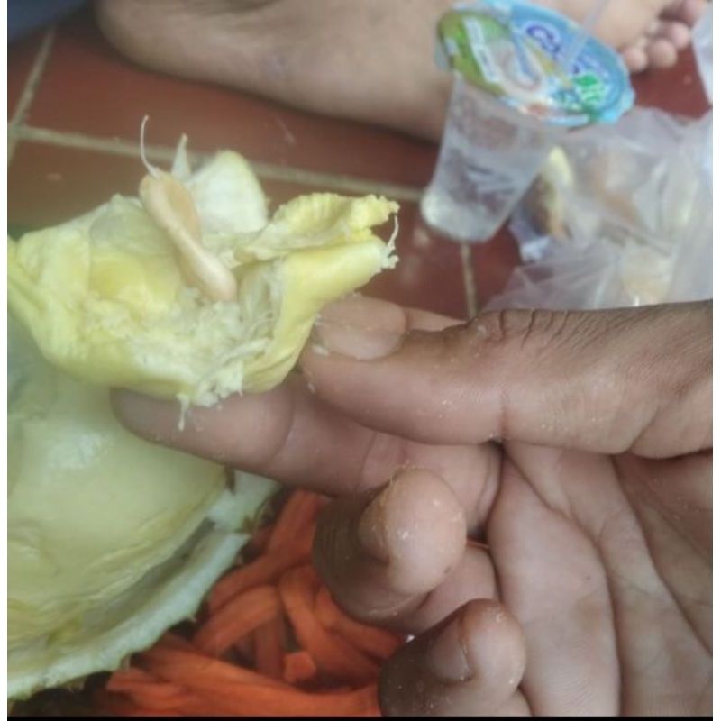

durian