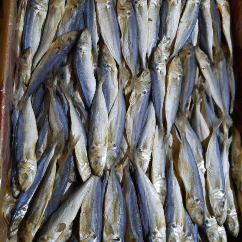 

Ikan Asin Peda Layang