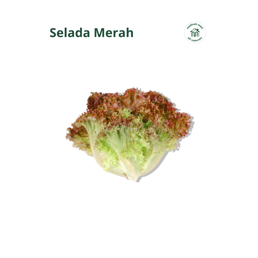 

Organik Selada Merah 150gr