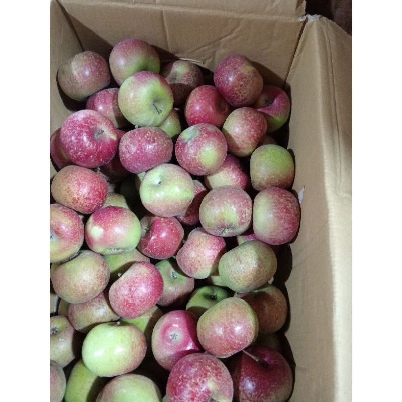 

apel malang/hijau/500g.