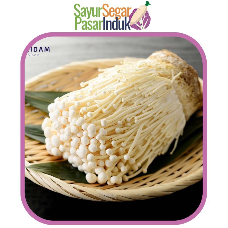 

Jamur Enoki Enoky Import Sayur Segar Pasar Induk