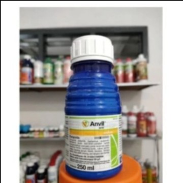Anvil 50SC 250ml Heksakonazol Fungisida sistemik basmi jamur