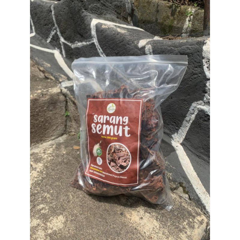 

Sarang Semut Asli Papua Original 300 gram Untuk Kanker, Diabetes, Dan Lain-Lain