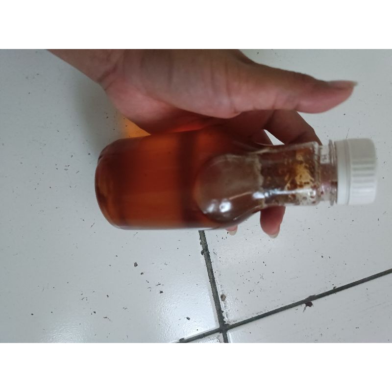 madu tawon gung asli 100% madu tawon liar berat 350gram