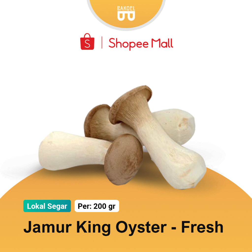 

Jamur King Oyster