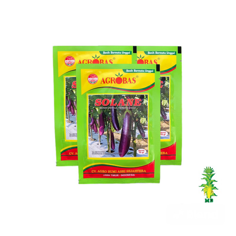 Benih terong ungu unggul solane 10 gr by agrobas