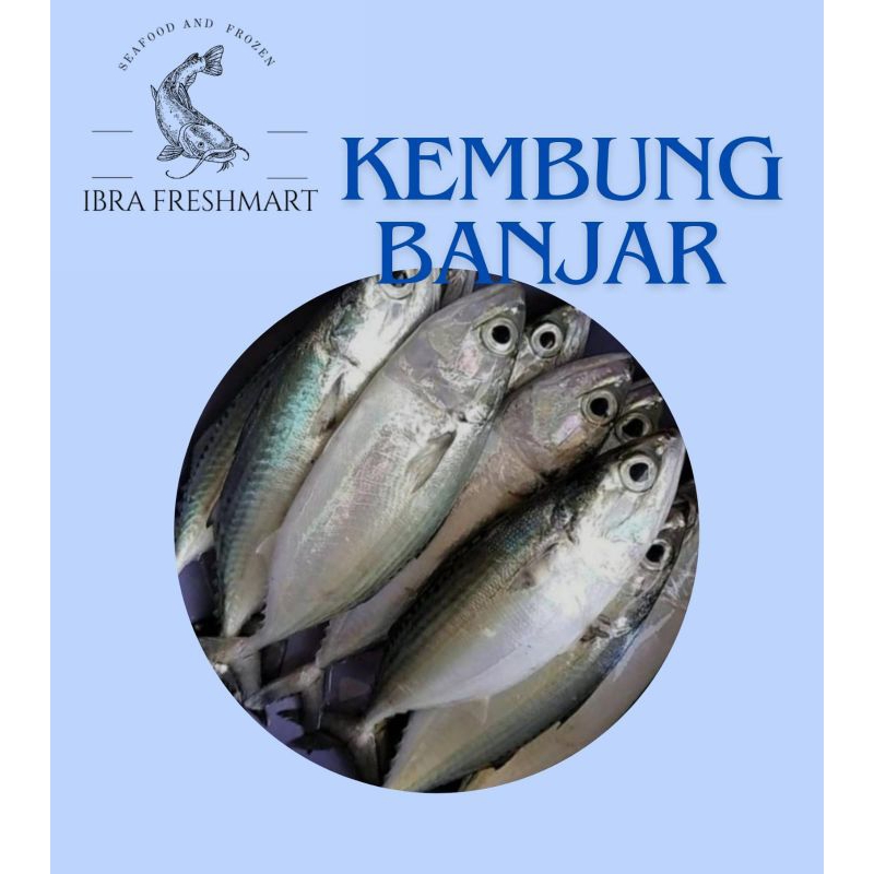 

kembung Banjar