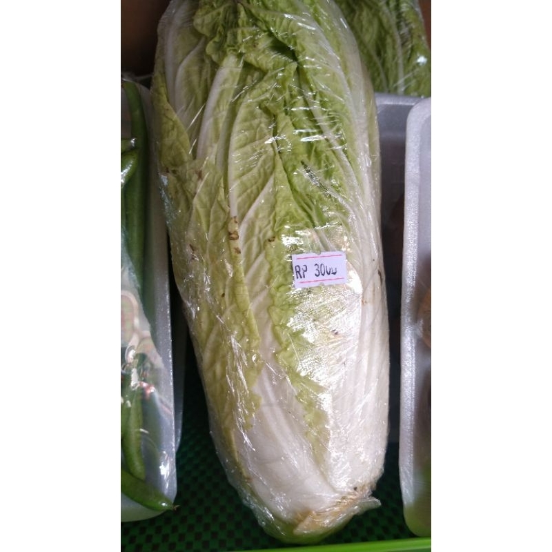 

Sawi Putih Fresh