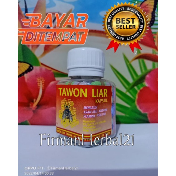 

ART U3V TawonKapsul liar original aslibotol