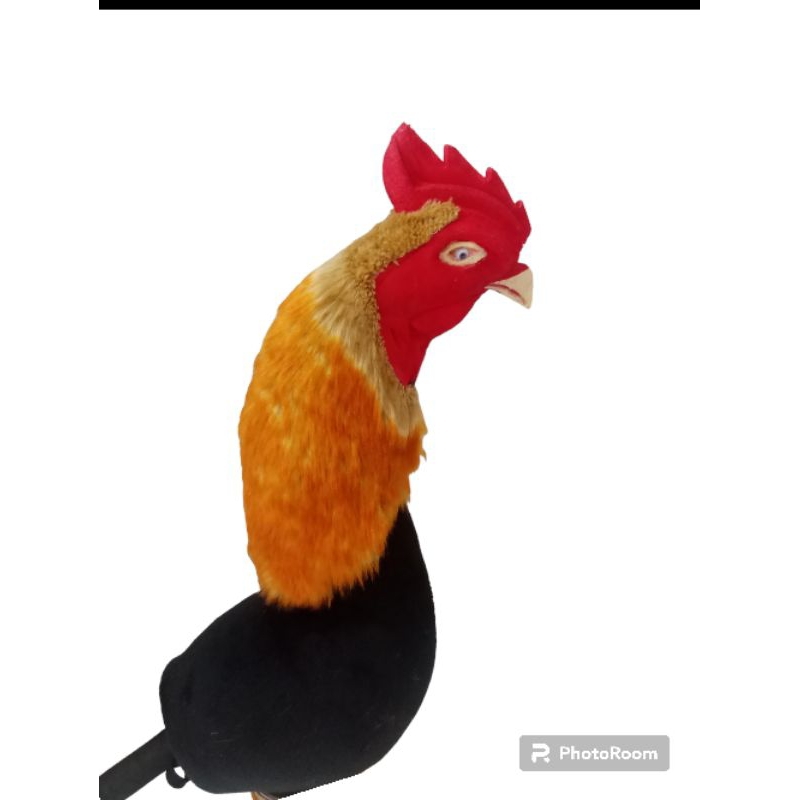 BONEKA AYAM JAGO SETENGAH BADAN BONEKA AYAM ADUAN BONEGA AYAM BANGKOK