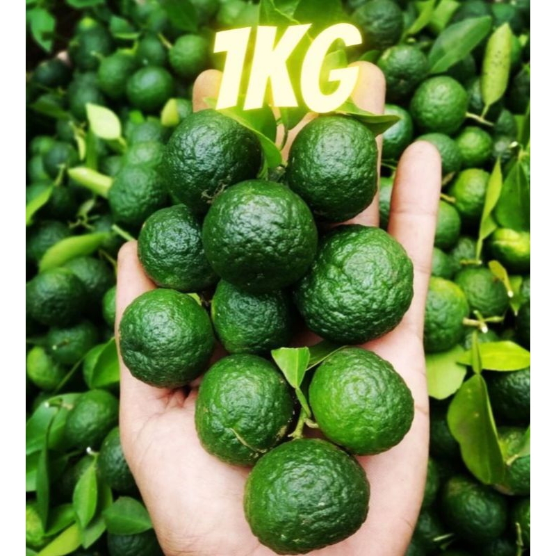 

Jeruk Limau Limo 1kg