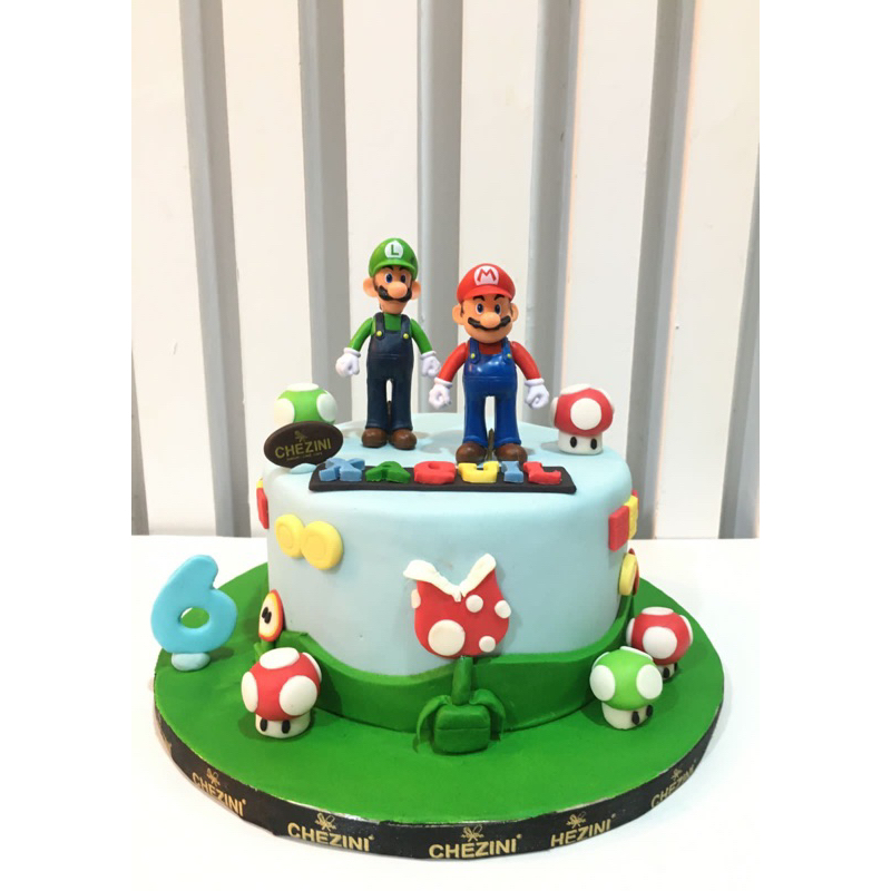 

mario bros cake custom