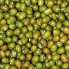 

Kacang Hijau Super Import / Large Green Mung Beans / Kacang ijo