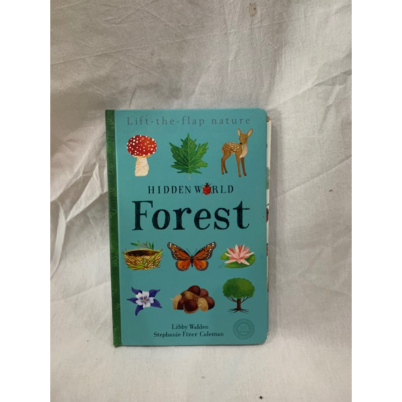 lift the flap book board book nature forest