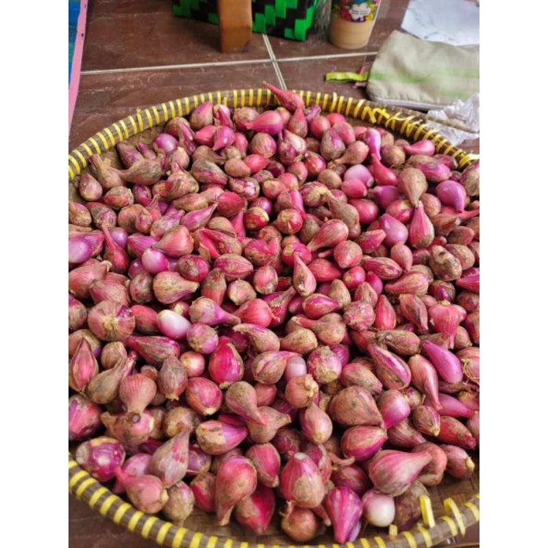 

BAWANG MERAH SUPER PREMIUM