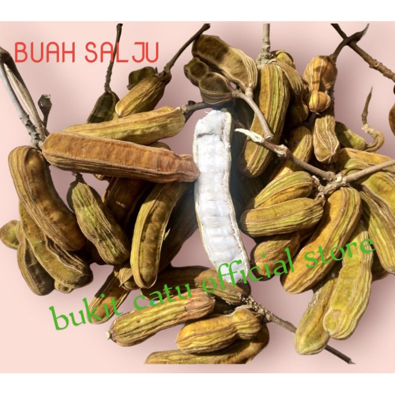 

Buah salju