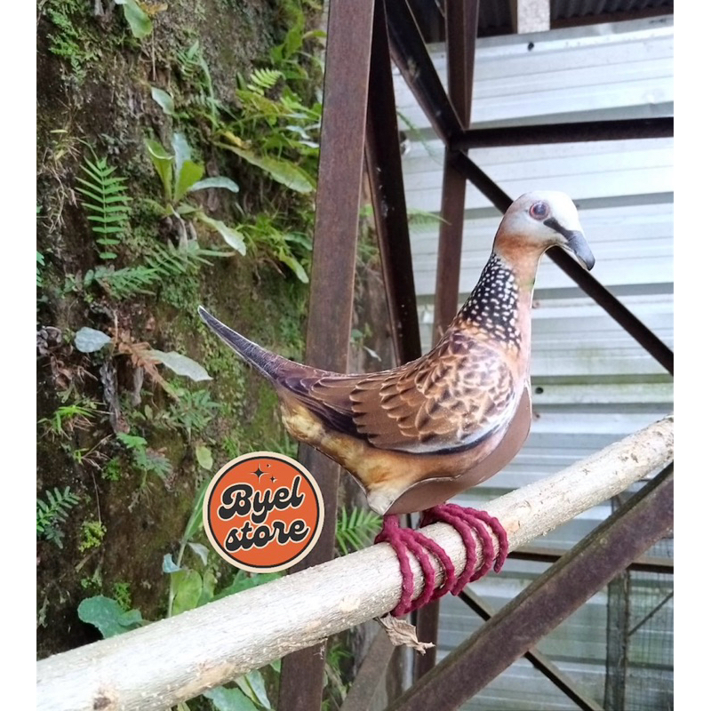 Jontrot Burung Tekukur - Patung Decoy Burung Tikukur