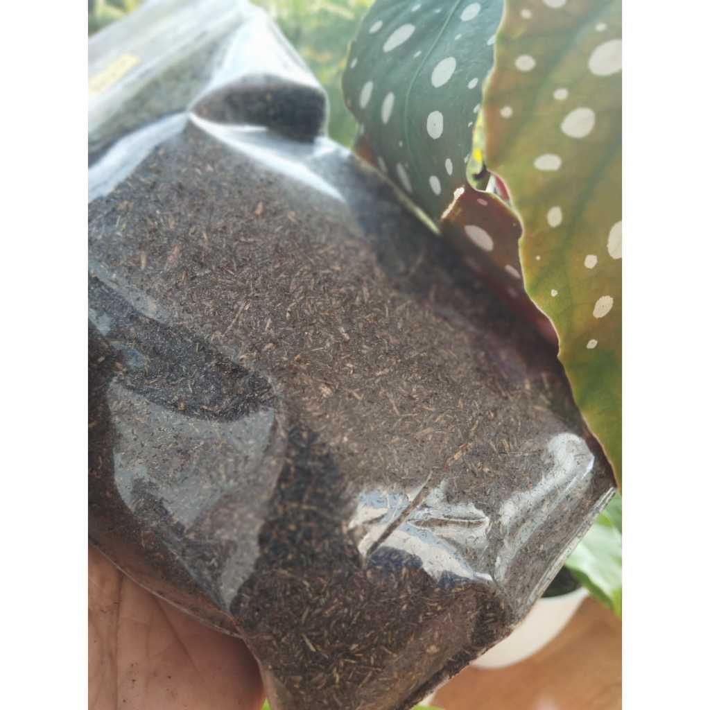 500 GRAM BUHUR, BUKHUR, BAKHOOR KASTURI