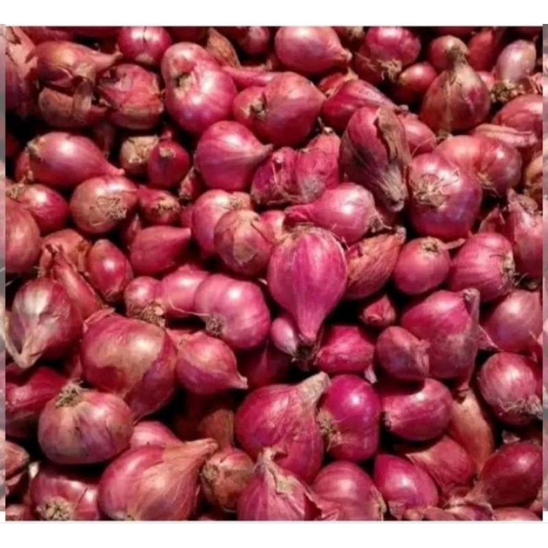 

bawang merah premium