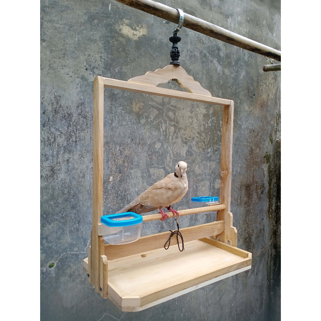 Sangkar Layang Derkuku, Tekukur, Puter, dll Alas Kotak Ukuran Besar, Simple dan Minimalis