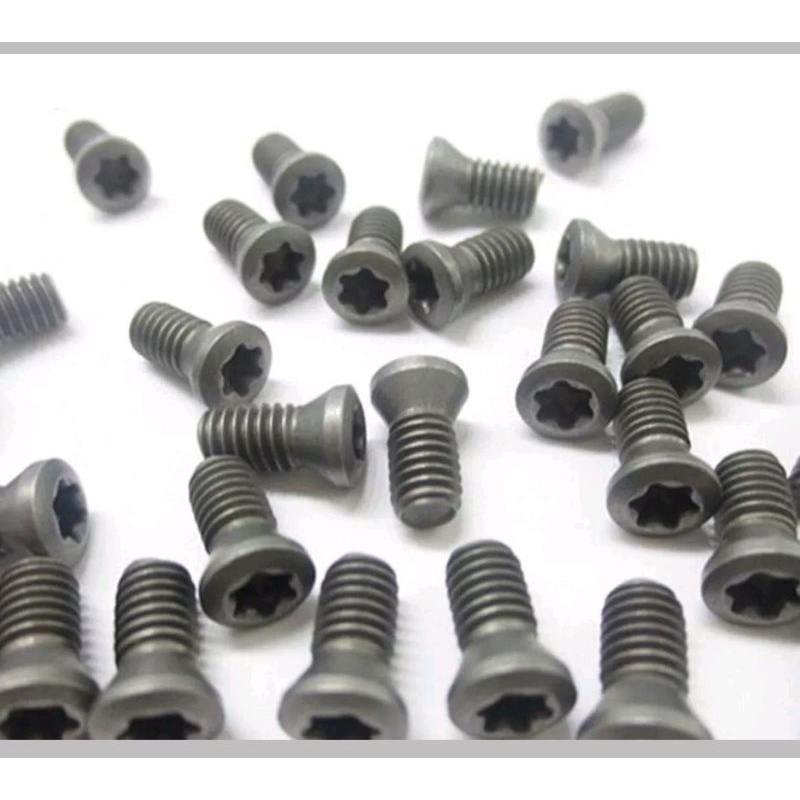 Baut kunci bintang M2×6 / baut holder M2×6 Screw m2×6 .baut insert holder M2×6