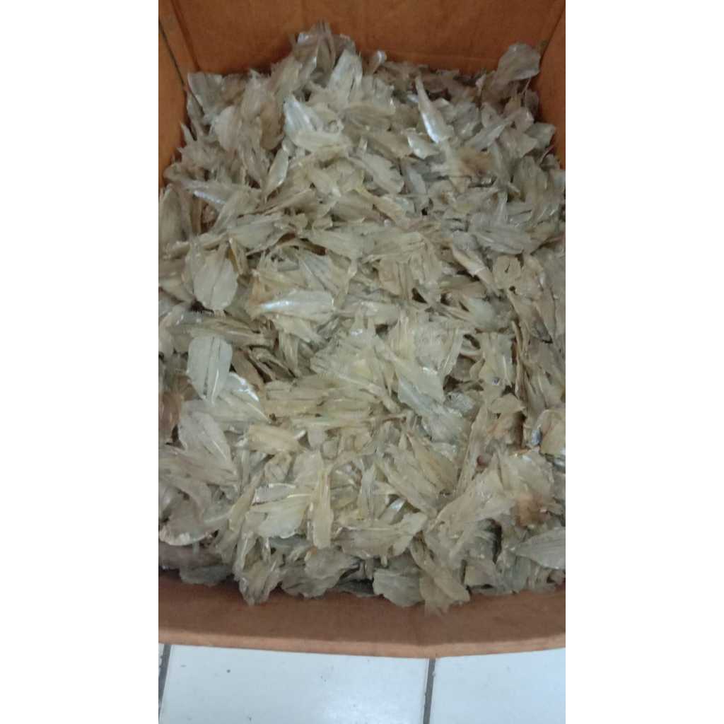 

Ikan RAMPAI - 500gram