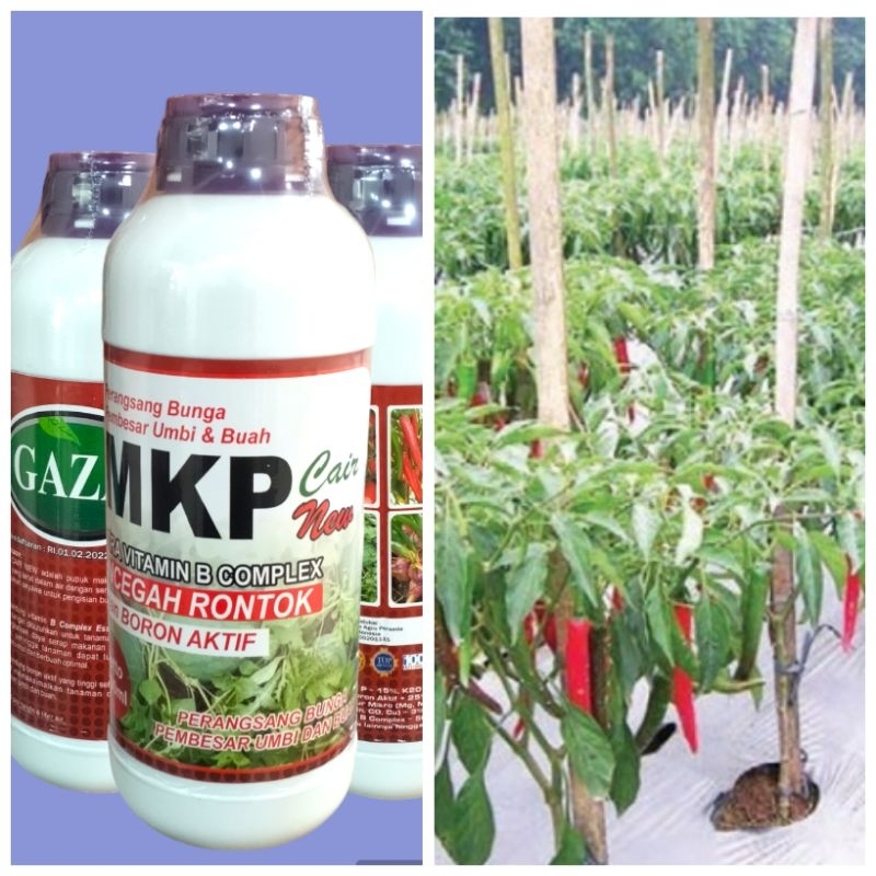Mkp Cair Merk Gaza Mkp 1 Liter Nutrisi Kalium Phospat Spesialis Pelebat Bunga Dan Buah Pada Tanaman