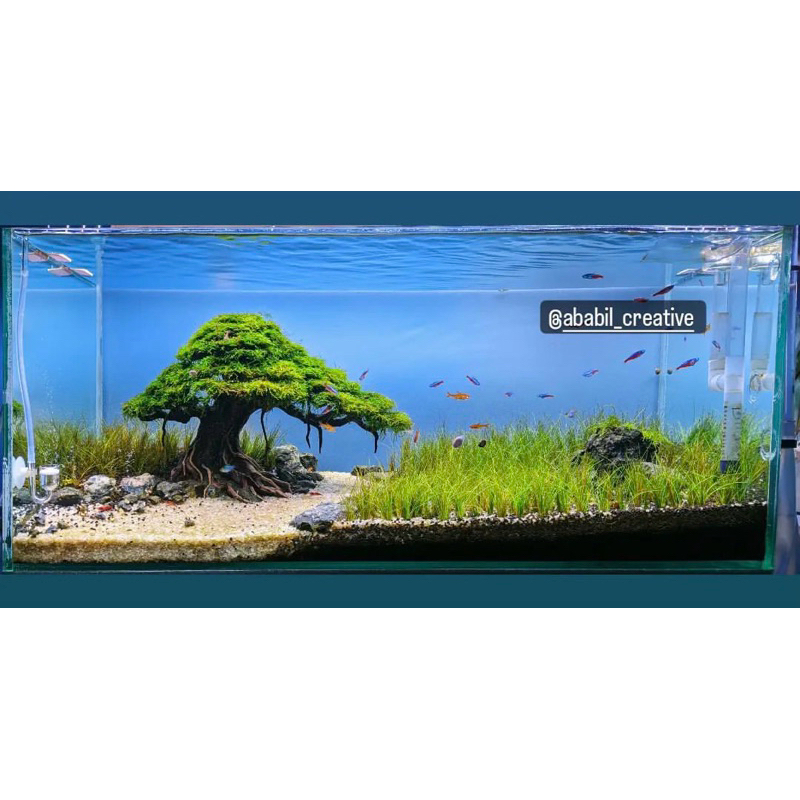 BONSAI AQUASCAPE | BONSAI AQUARIUM | HIASAN AQUARIUM | HARDSCAPE | AQUASCAPE | BONSAI AQUASCAPE MURA