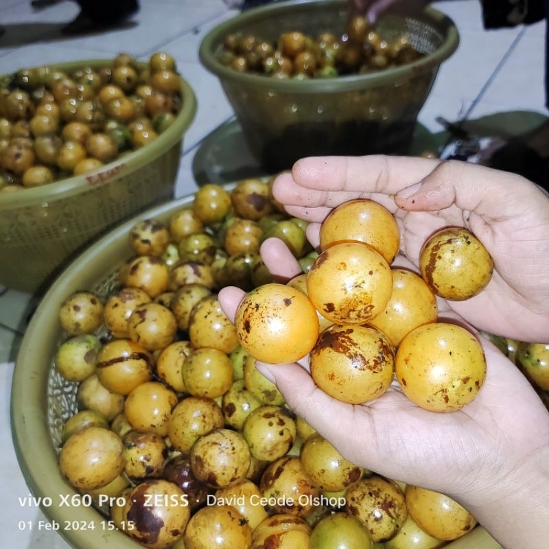 

Buah Jatake Mateng 1Kg TERMURAH