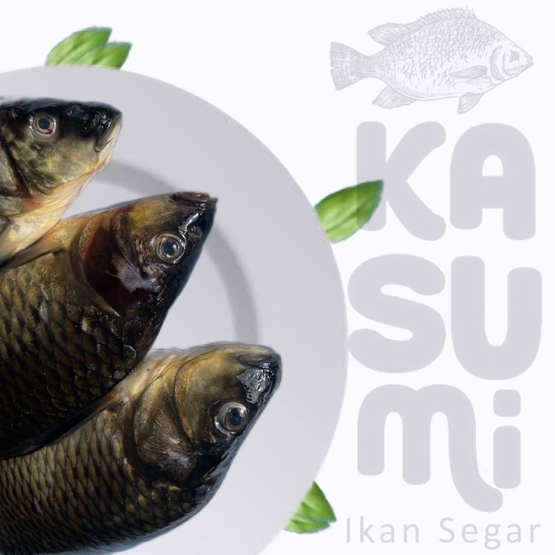 

IKAN MAS FRESH