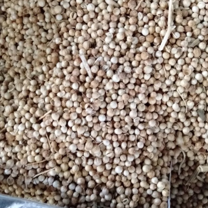 

KODE X15D Biji Ketumbar 1kg PREMIUM HEMAT