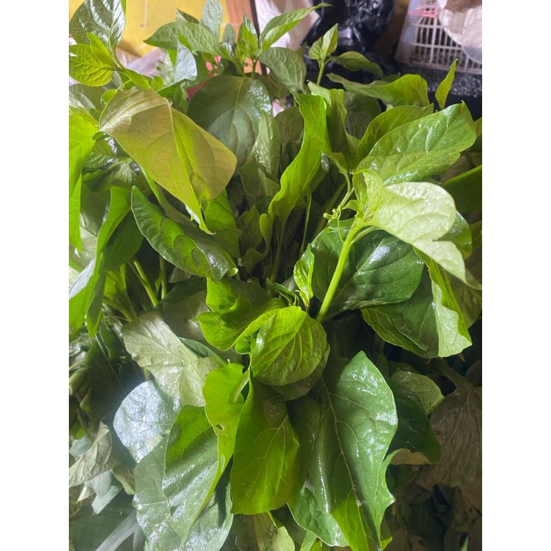 

Tahuk lumay/daun leunca