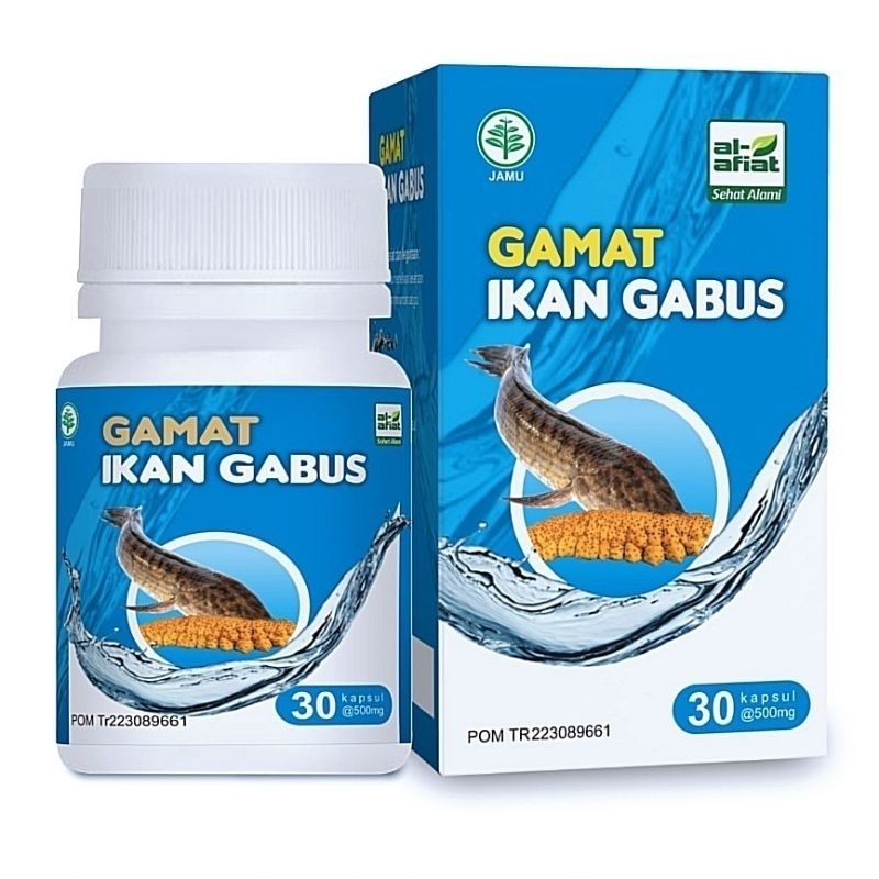 kapsul gamat plus ikan gabus