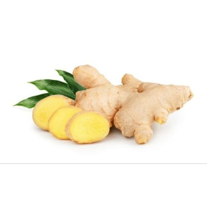 

jahe segar fresh 1kg