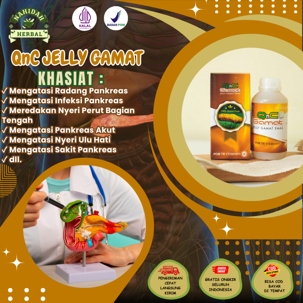 Obat Radang Pankreas, Sakit Pankreas, Obat Nyeri Bagian Tengah Perut, Obat Infeksi Pankreas, Obat Pa