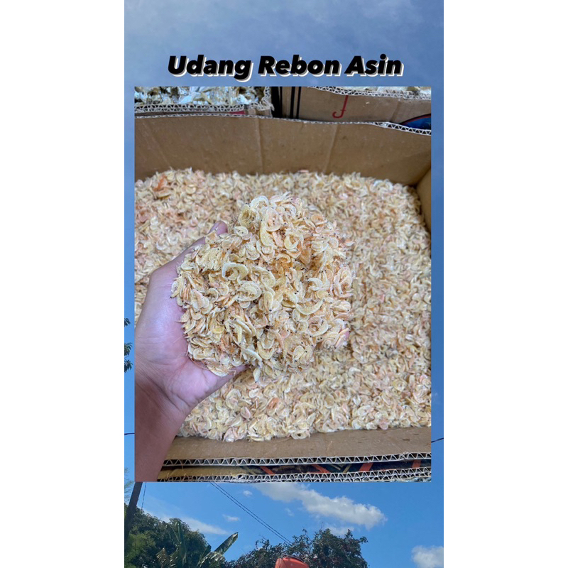 

Ikan Asin Udang Rebon
