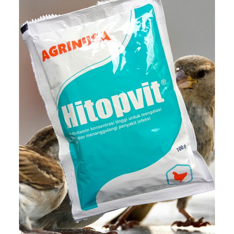 Multivitamin Konsentrasi Tinggi HITOPVIT 100 Gr untuk ternak Ayam Broiler, Bebek, Petelur, Ayam Kamp