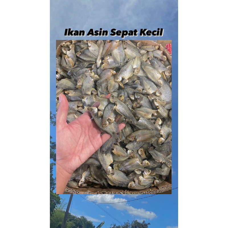 

Ikan Asin Sepat Kecil 250gr