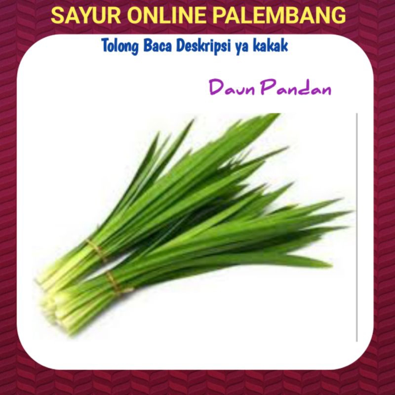 

Daun Pandan Per Ikat - Sayur Segar Fresh Online Palembang
