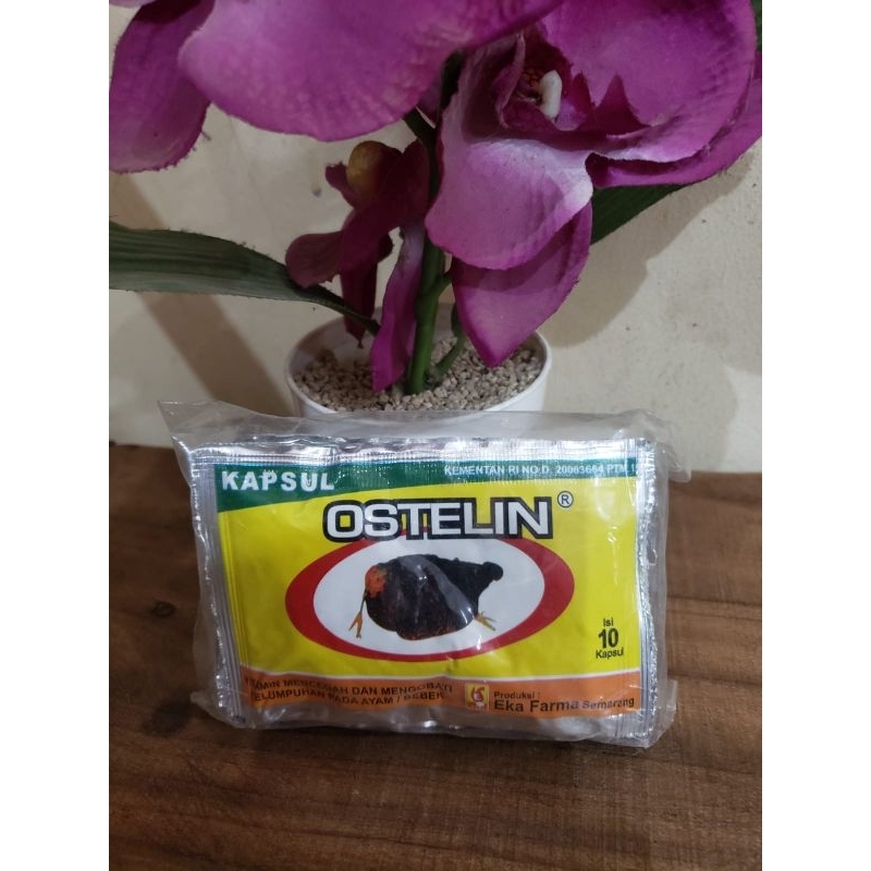 Ostelin
