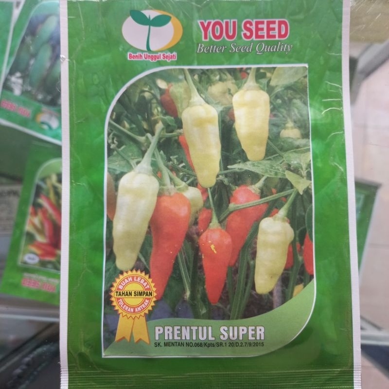 YOU SEED - CABAI RAWIT PRENTUL SUPER 10 G