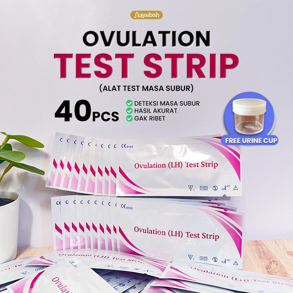 Ovulation Test Strip